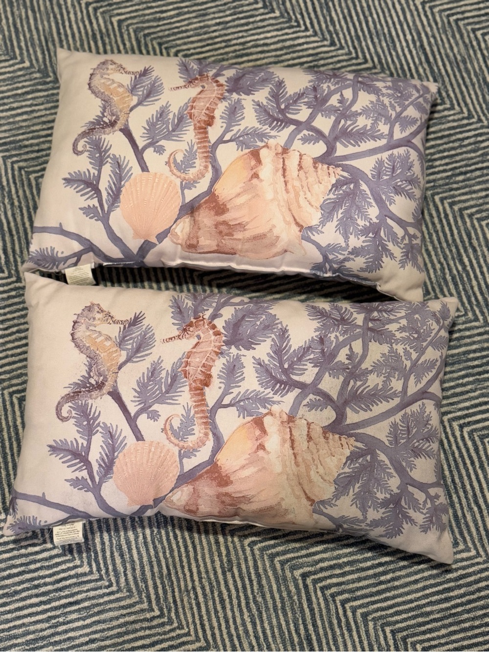 Pair of pottery barn coastal outdoor/indoor pillows
